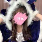 ヒメ日記 2025/02/06 12:17 投稿 かれん 横浜コスプレデビュー（シンデレラグループ）