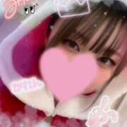 ヒメ日記 2026/01/13 20:02 投稿 かれん 横浜コスプレデビュー（シンデレラグループ）