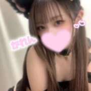 ヒメ日記 2026/02/15 21:45 投稿 かれん 横浜コスプレデビュー（シンデレラグループ）