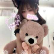 ヒメ日記 2026/02/17 07:45 投稿 かれん 横浜コスプレデビュー（シンデレラグループ）