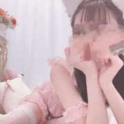 ヒメ日記 2026/04/06 08:15 投稿 かれん 横浜コスプレデビュー（シンデレラグループ）