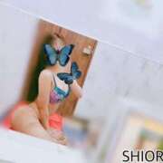 ヒメ日記 2025/03/11 13:55 投稿 しおり スピード難波店