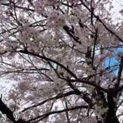 ヒメ日記 2025/04/06 11:48 投稿 しおり スピード難波店