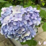 ヒメ日記 2025/06/19 19:15 投稿 しおり スピード難波店