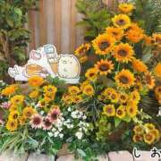ヒメ日記 2026/08/03 10:33 投稿 しおり スピード難波店