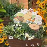 しおり しおり（スピード難波店） スピード難波店