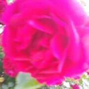 ヒメ日記 2025/01/27 13:25 投稿 しま 熟女の風俗最終章 池袋店