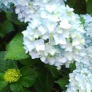 ヒメ日記 2025/06/30 00:56 投稿 しま 熟女の風俗最終章 池袋店