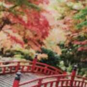 ヒメ日記 2025/11/21 22:32 投稿 しま 熟女の風俗最終章 池袋店