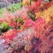 ヒメ日記 2025/11/23 04:45 投稿 しま 熟女の風俗最終章 池袋店