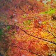 ヒメ日記 2025/11/30 18:30 投稿 しま 熟女の風俗最終章 池袋店