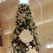 ヒメ日記 2025/12/21 00:35 投稿 しま 熟女の風俗最終章 池袋店