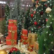 ヒメ日記 2025/12/22 11:30 投稿 しま 熟女の風俗最終章 池袋店