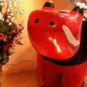 ヒメ日記 2026/01/03 01:25 投稿 しま 熟女の風俗最終章 池袋店