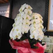 ヒメ日記 2026/02/13 19:10 投稿 しま 熟女の風俗最終章 池袋店