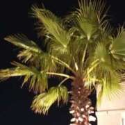 ヒメ日記 2025/01/10 21:23 投稿 けいな 五反田・品川おかあさん