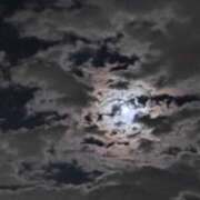 ヒメ日記 2025/01/15 21:13 投稿 けいな 五反田・品川おかあさん