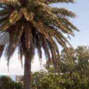 ヒメ日記 2025/03/17 11:23 投稿 けいな 五反田・品川おかあさん