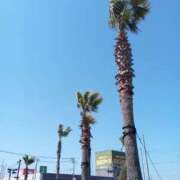 ヒメ日記 2025/03/21 13:38 投稿 けいな 五反田・品川おかあさん