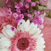 ヒメ日記 2025/04/01 08:43 投稿 けいな 五反田・品川おかあさん