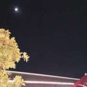 ヒメ日記 2025/04/03 19:23 投稿 けいな 五反田・品川おかあさん