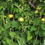 ヒメ日記 2025/05/18 08:53 投稿 けいな 五反田・品川おかあさん