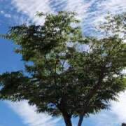 ヒメ日記 2025/06/04 12:53 投稿 けいな 五反田・品川おかあさん