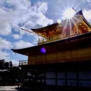 ヒメ日記 2024/12/31 11:51 投稿 椿かえで 彩タマンサ（埼玉ハレ系）