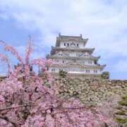 ヒメ日記 2025/08/20 14:28 投稿 椿かえで 彩タマンサ（埼玉ハレ系）