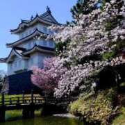 ヒメ日記 2026/03/16 11:53 投稿 椿かえで 彩タマンサ（埼玉ハレ系）