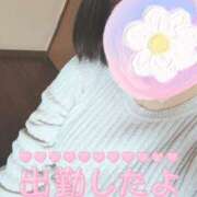 ヒメ日記 2025/03/26 12:04 投稿 かおり 熟女＆人妻＆ぽっちゃり倶楽部