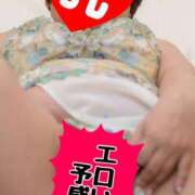 ヒメ日記 2025/04/02 12:28 投稿 かおり 熟女＆人妻＆ぽっちゃり倶楽部