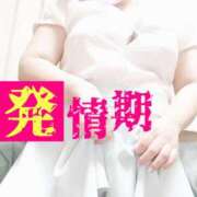 ヒメ日記 2025/10/11 01:44 投稿 かおり 熟女＆人妻＆ぽっちゃり倶楽部