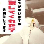 ヒメ日記 2025/10/30 21:22 投稿 かおり 熟女＆人妻＆ぽっちゃり倶楽部
