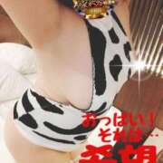 ヒメ日記 2025/11/20 17:08 投稿 かおり 熟女＆人妻＆ぽっちゃり倶楽部