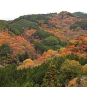 ヒメ日記 2024/12/08 08:49 投稿 かほ 熟女総本店 堺東店