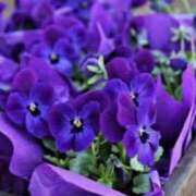 ヒメ日記 2024/12/21 00:29 投稿 かほ 熟女総本店 堺東店