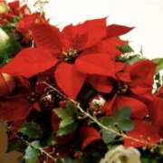 ヒメ日記 2024/12/24 03:49 投稿 かほ 熟女総本店 堺東店