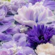 ヒメ日記 2024/12/26 09:49 投稿 かほ 熟女総本店 堺東店