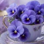 ヒメ日記 2024/12/31 17:29 投稿 かほ 熟女総本店 堺東店