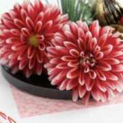 ヒメ日記 2025/01/02 06:39 投稿 かほ 熟女総本店 堺東店