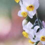 ヒメ日記 2025/01/27 23:39 投稿 かほ 熟女総本店 堺東店