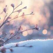 ヒメ日記 2025/01/30 07:19 投稿 かほ 熟女総本店 堺東店