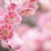 ヒメ日記 2025/02/01 01:53 投稿 かほ 熟女総本店 堺東店