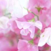 ヒメ日記 2025/02/03 21:49 投稿 かほ 熟女総本店 堺東店