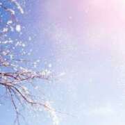 ヒメ日記 2025/02/05 07:39 投稿 かほ 熟女総本店 堺東店