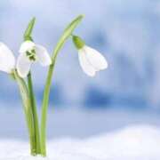 ヒメ日記 2025/02/06 05:49 投稿 かほ 熟女総本店 堺東店