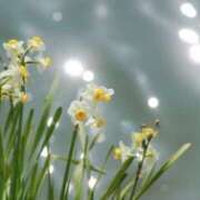 ヒメ日記 2025/02/10 23:19 投稿 かほ 熟女総本店 堺東店