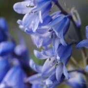 ヒメ日記 2025/02/13 08:39 投稿 かほ 熟女総本店 堺東店