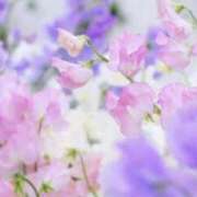 ヒメ日記 2025/02/16 08:29 投稿 かほ 熟女総本店 堺東店